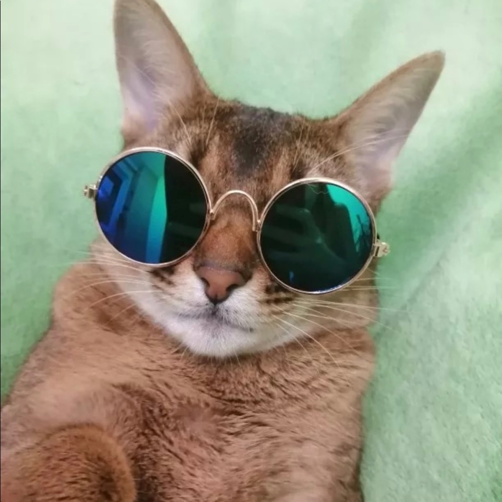 2 pair for $15 Kitty sunglasses - Picture 6 of 16